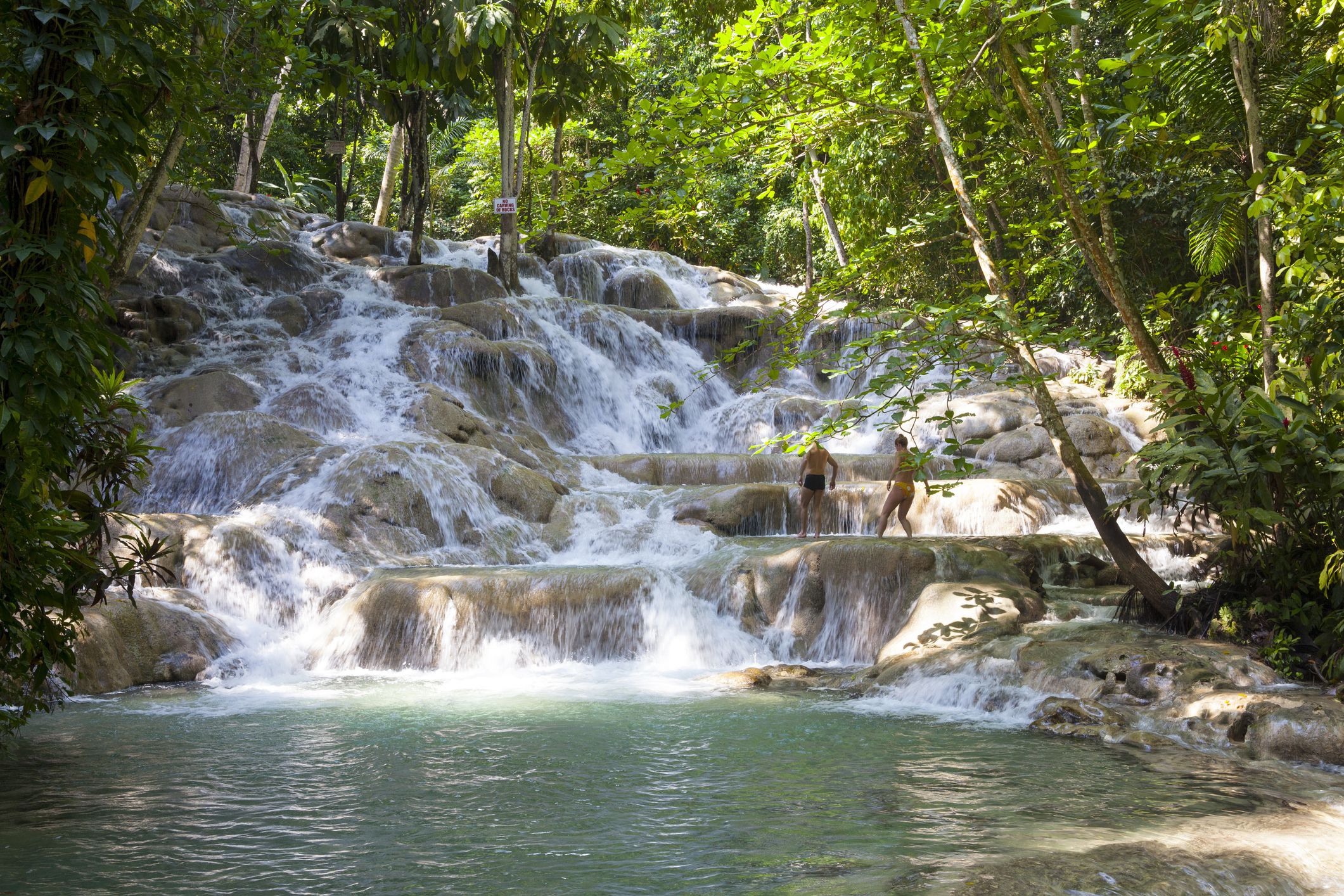 Top Ocho Rios Tours You Can’t Miss on Your Jamaica Vacation