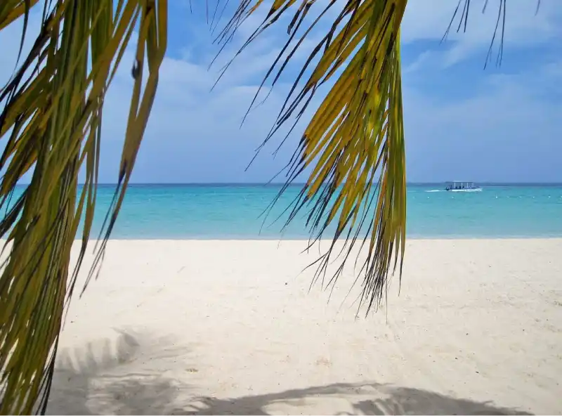 Negril Jamaica - Sudlow Tours and Transfers