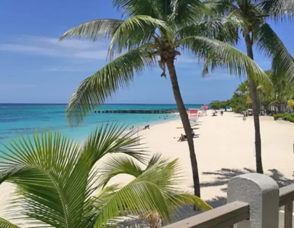 Hidden Gems of Jamaica tours: Explore the Off-the-Beaten-Path
