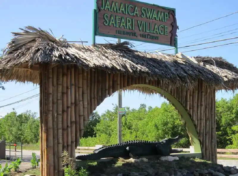 Swamp Safari - Sudlow Tours and Transfers